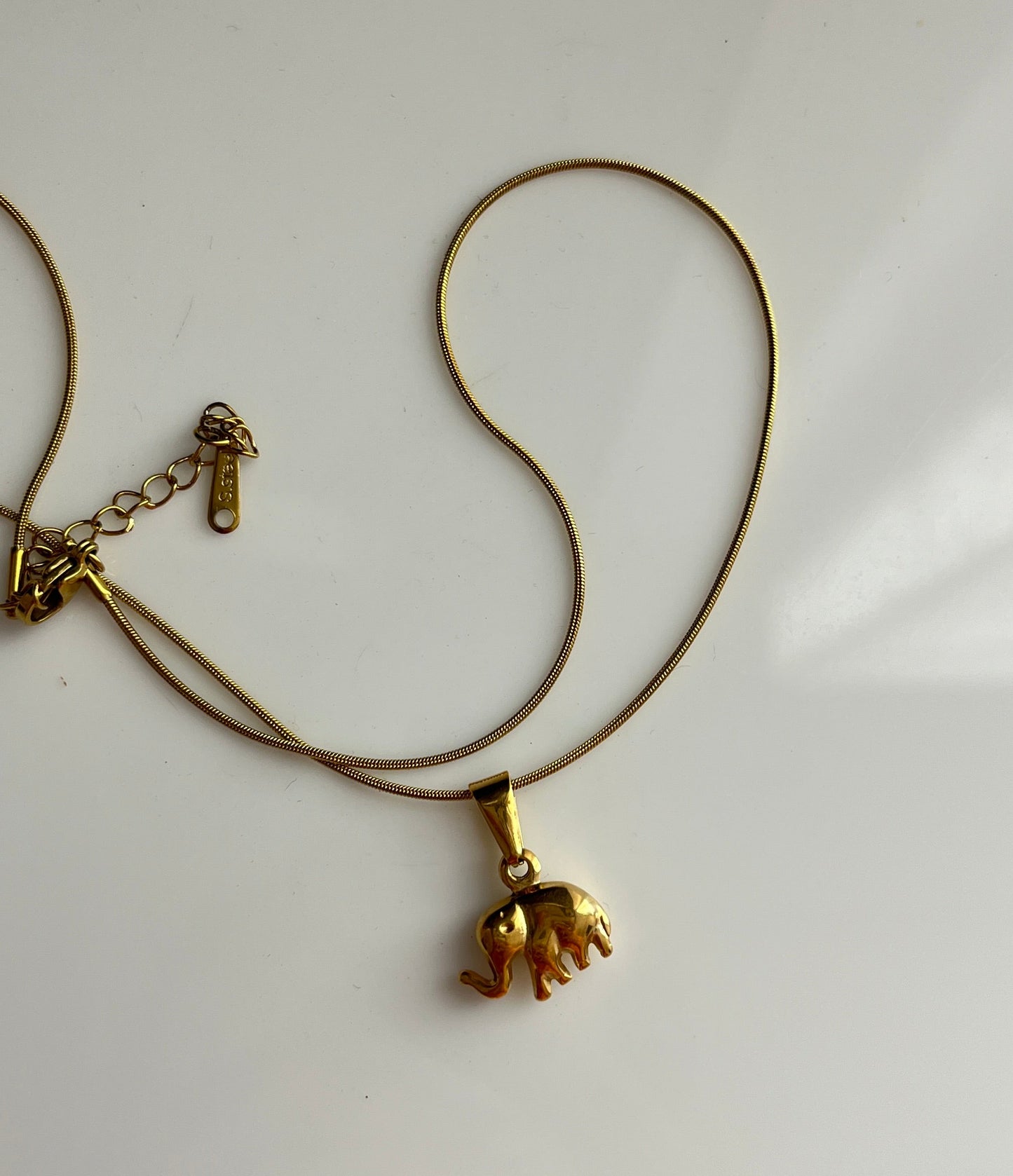 Golden luck Necklace
