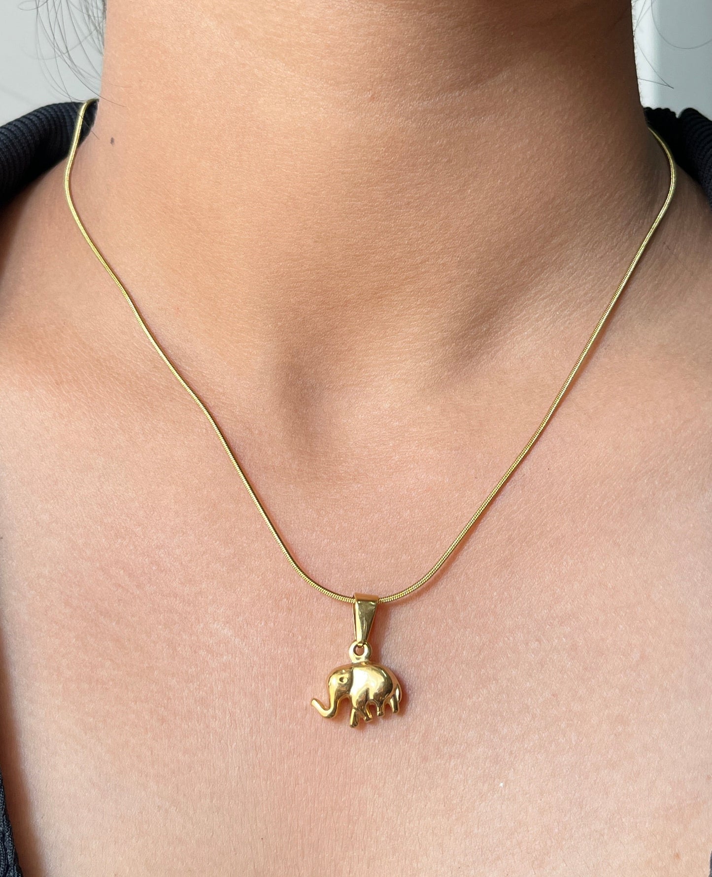 Golden luck Necklace