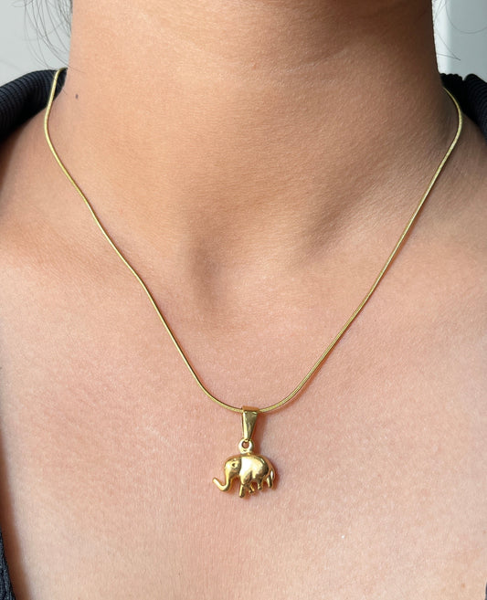 Golden luck Necklace