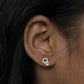 Senorita Stud